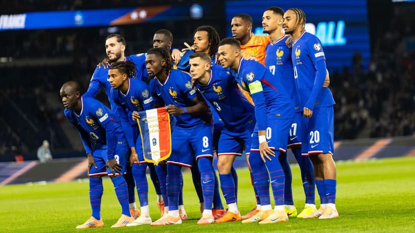 France vs Sweden Match Highlights